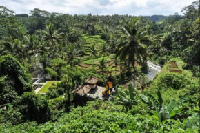 River Song Bali